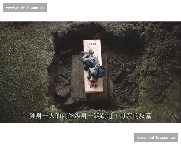 《平战士2：从困境到崛起的励志之路，勇敢追梦改变命运》